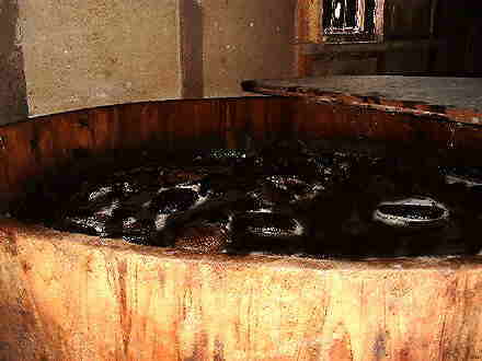 �������n���u����v������