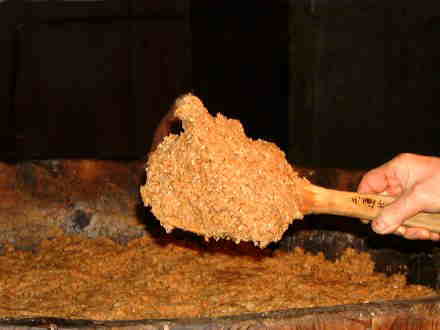 ��������̎q���I